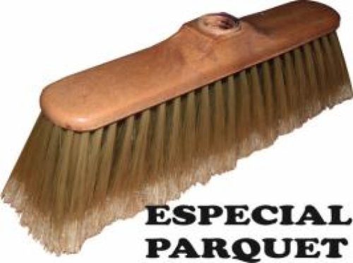ESCOBA LUGO