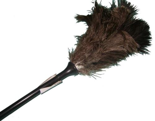 PLUMERO PLUMA PALO DE PLASTICO